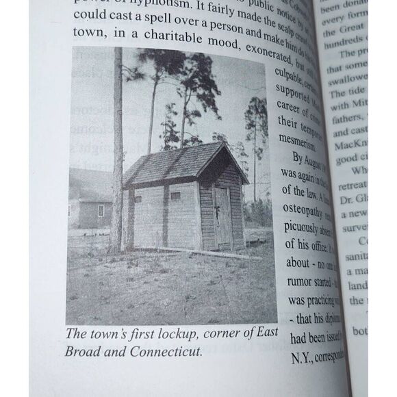 YOUNG SOUTHERN PINES by Helen G. Huttenhauer paperback 2006 - Picture 11 of 15